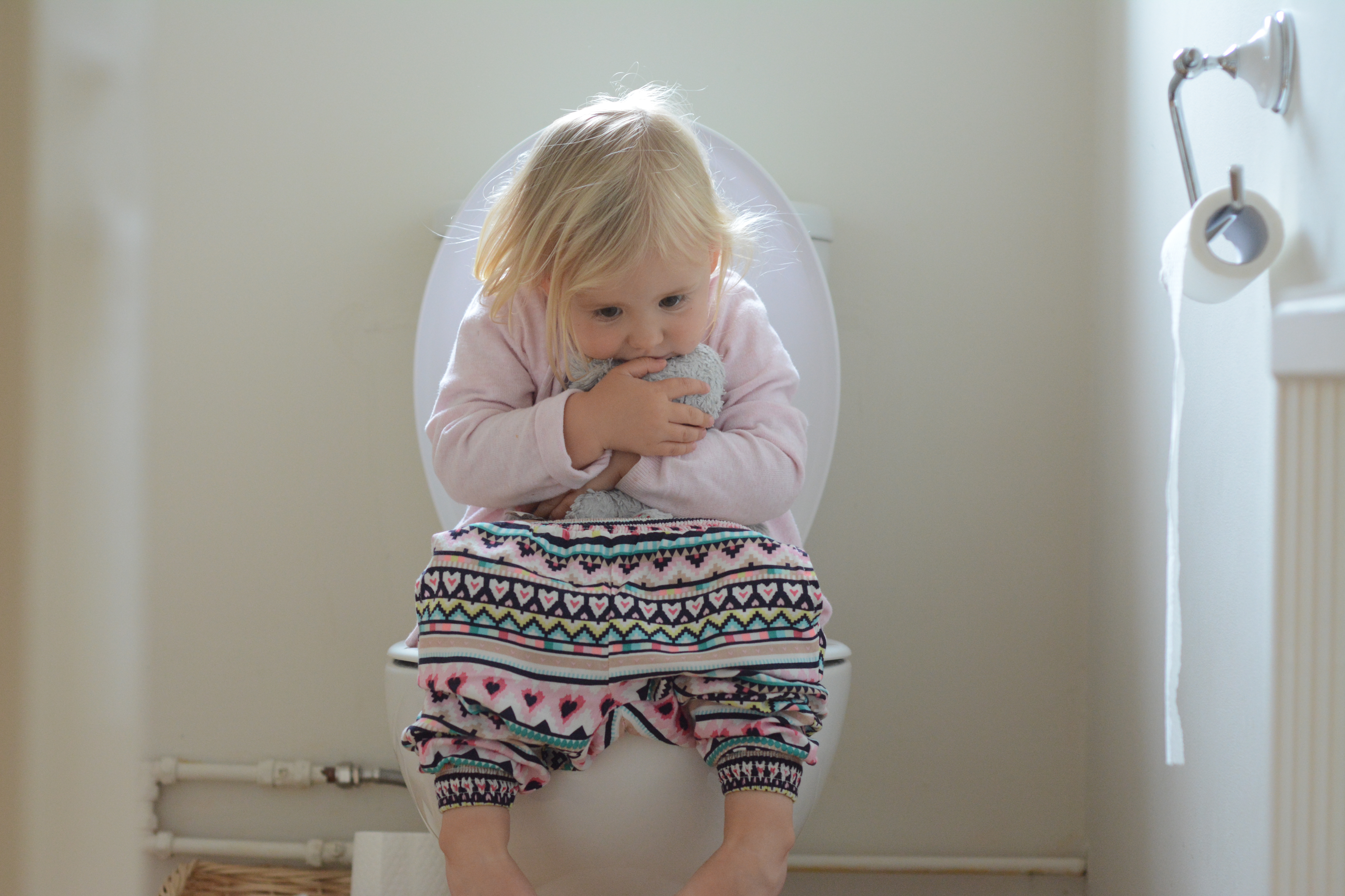 Potty toilet training