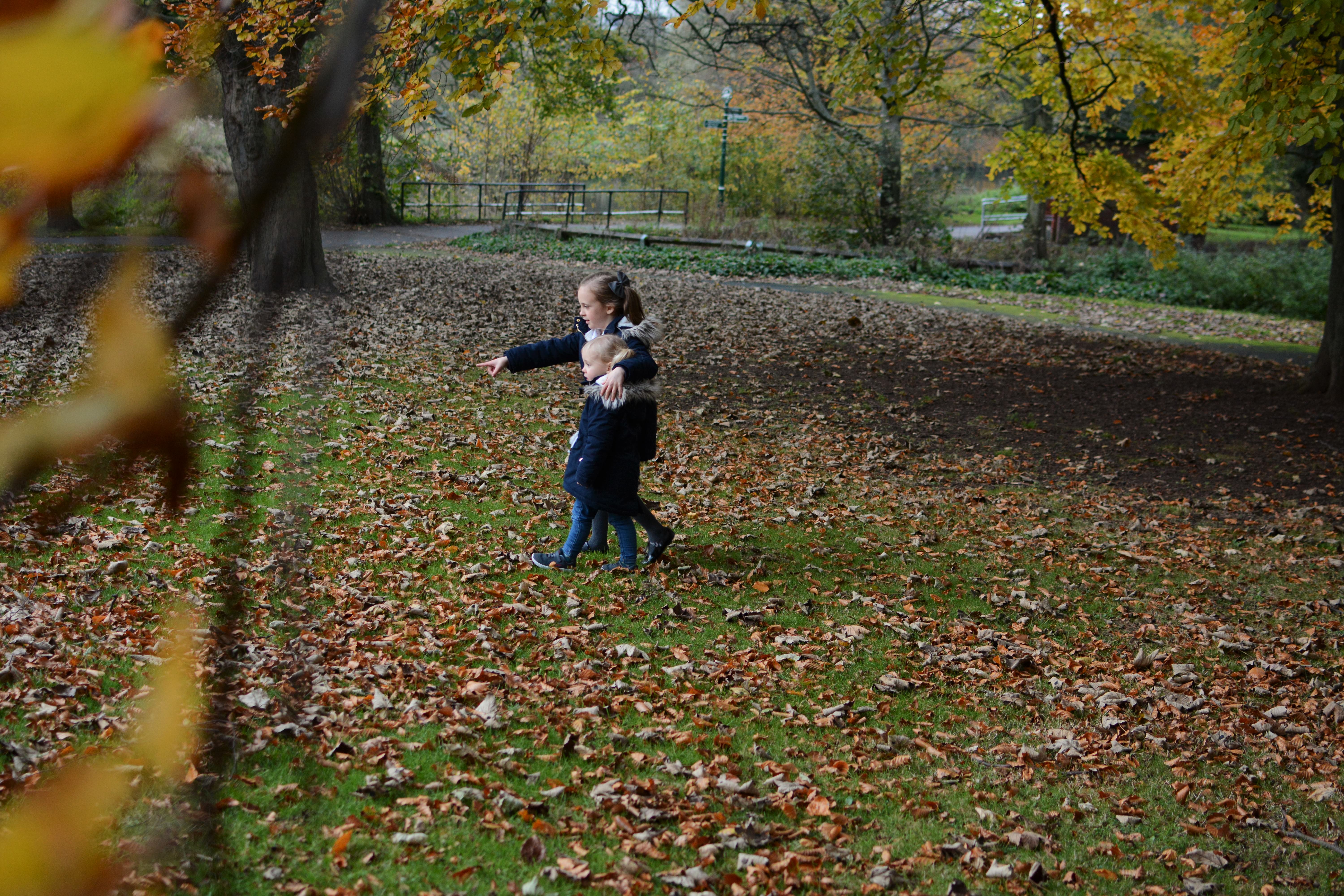 sisters siblings november