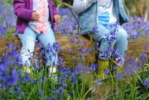 Sisters Bluebells May 2016