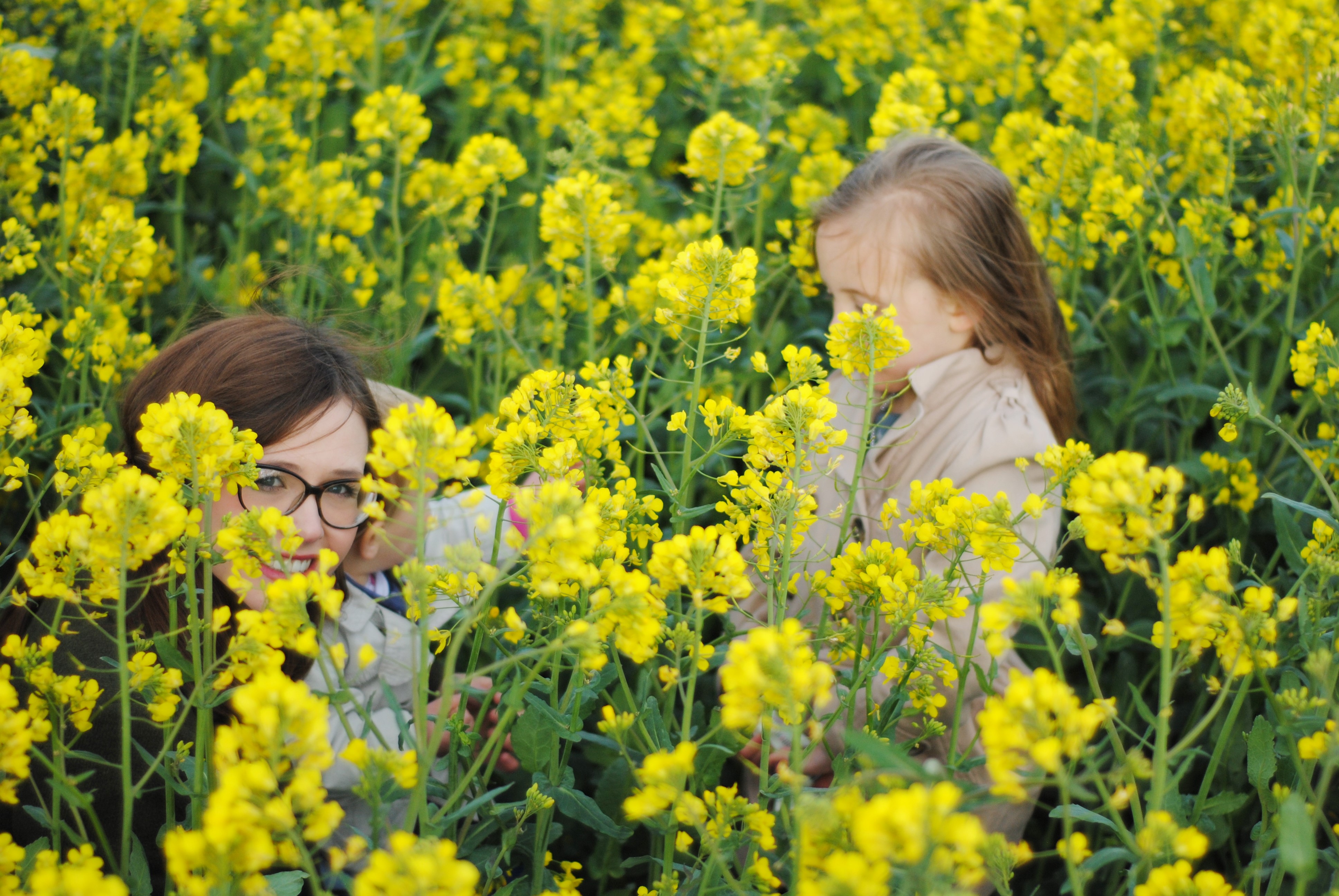 The Yellow Fields Elle Steer