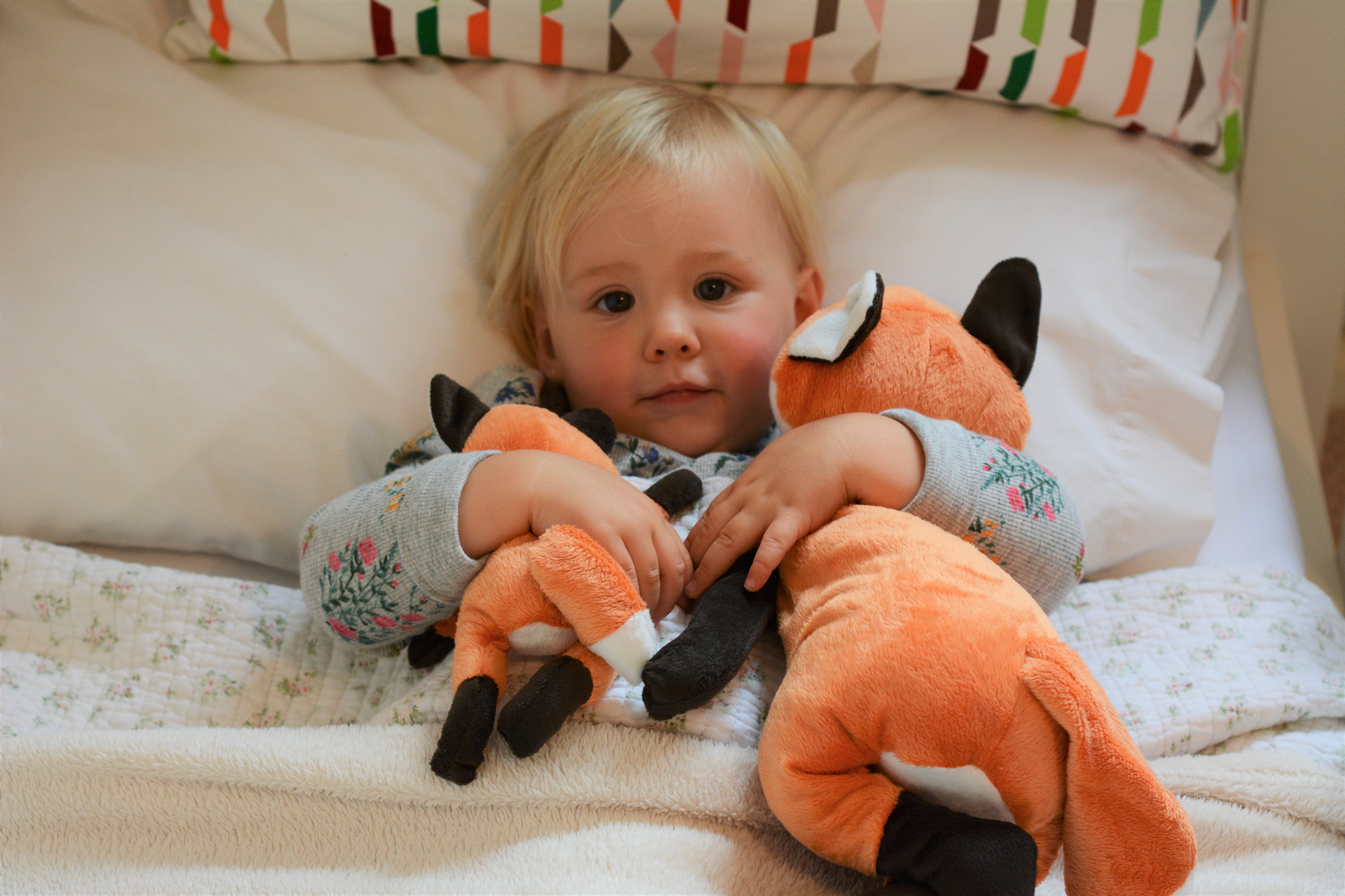 19 month old in toddler bed from a cot cuddling toys