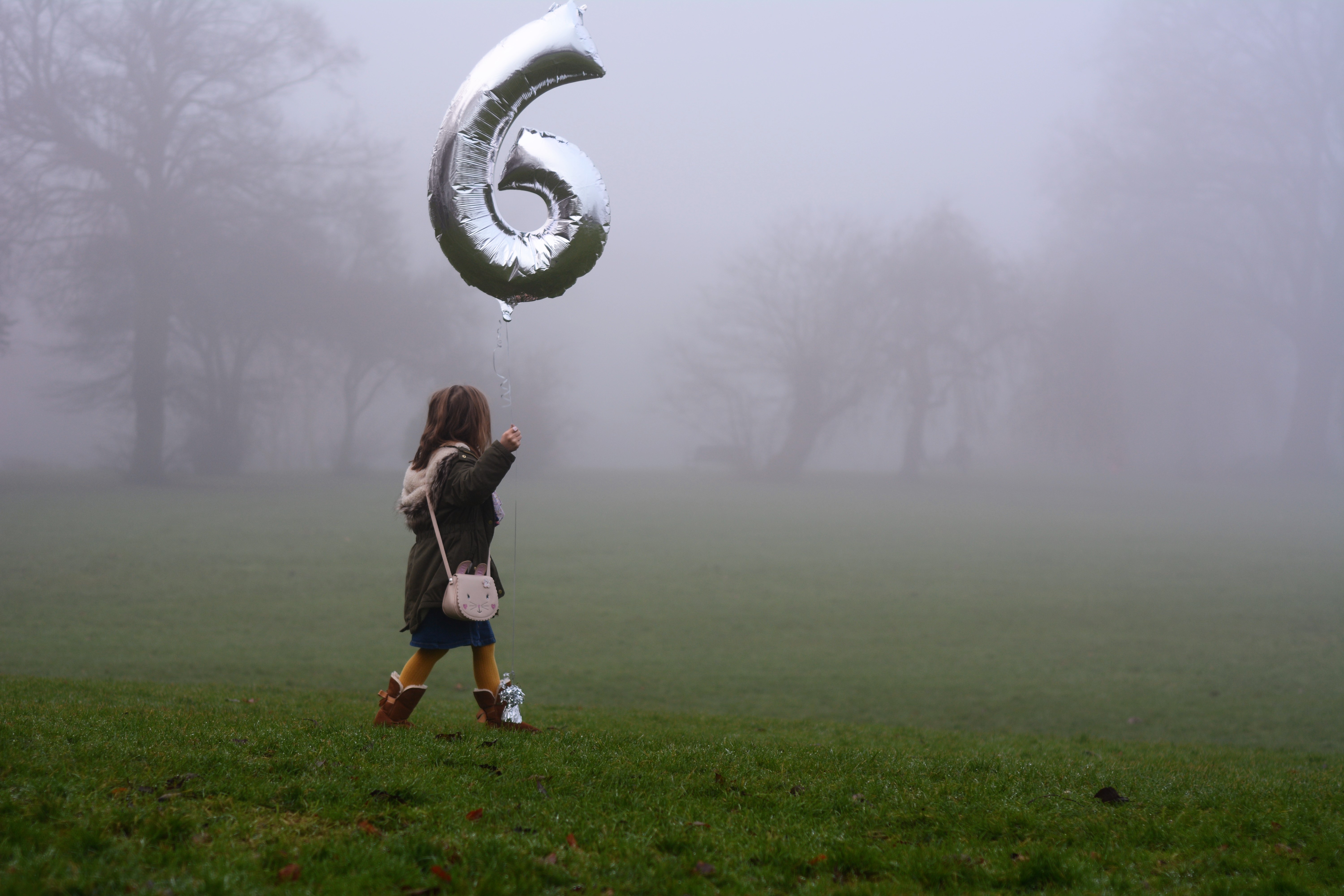 Happy 6th Birthday Foggy field with balloon