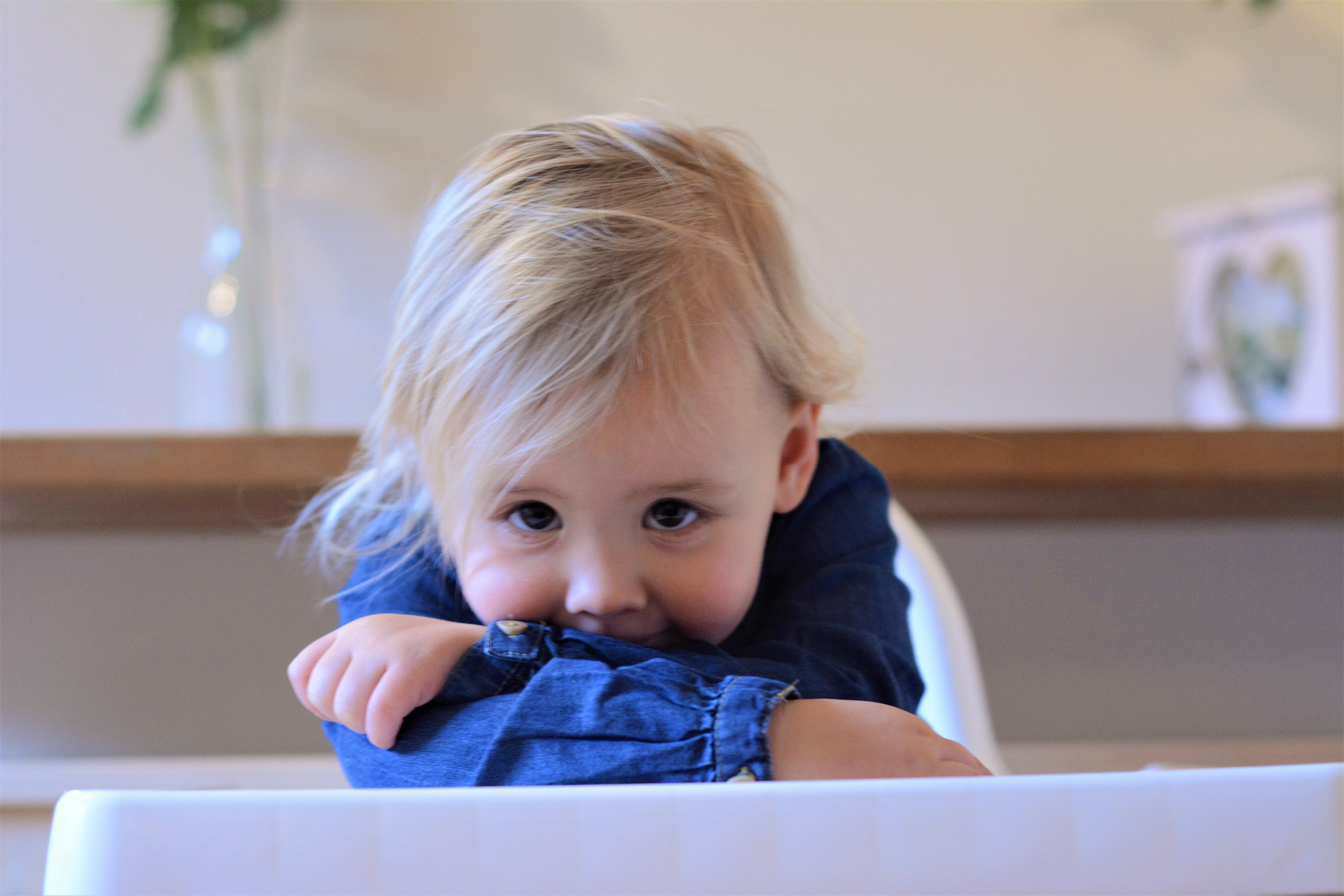 Ikea white Highchair Antilop