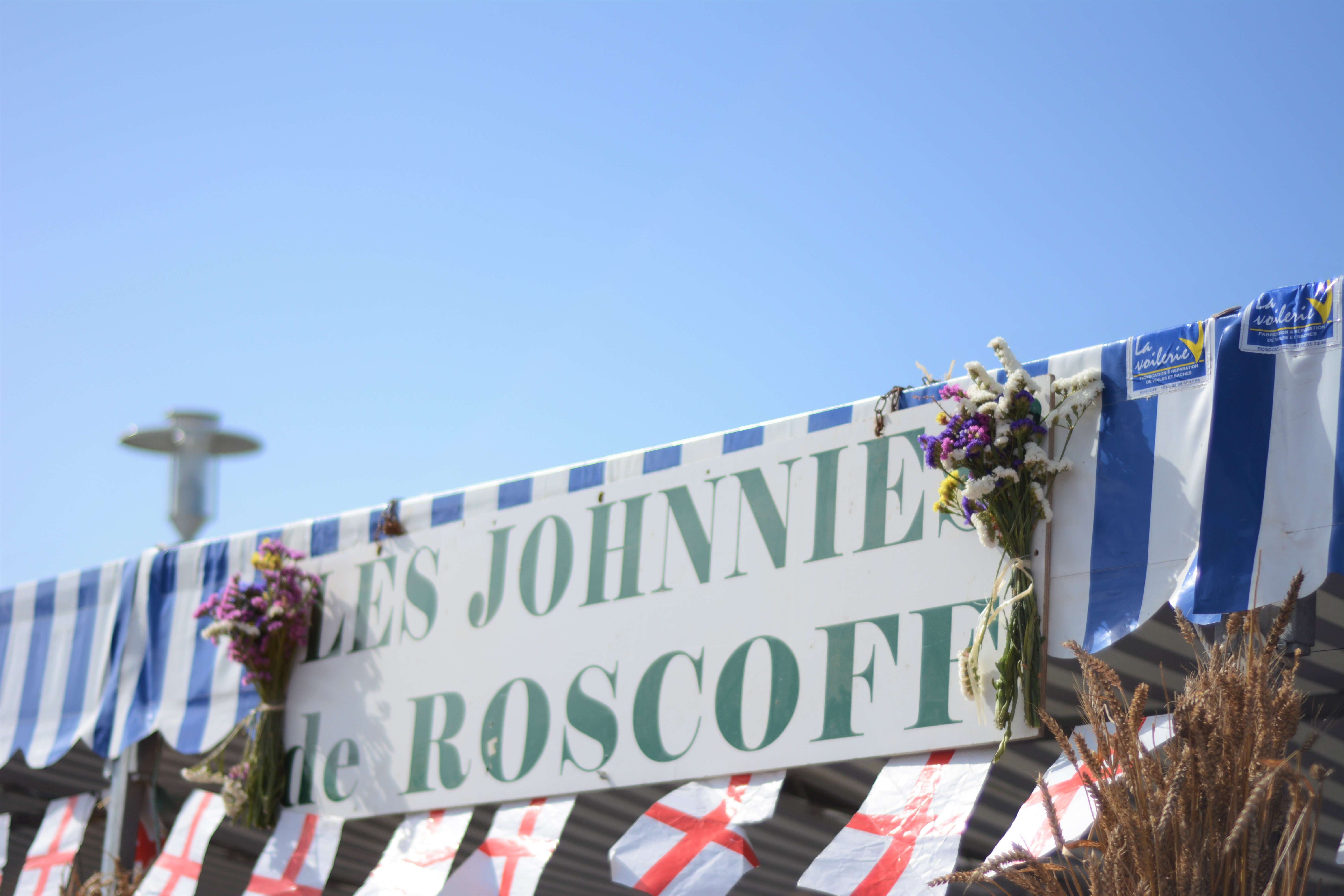 France Brittany Roscoff Onion Festival Fête de l'Oignon de Roscoff