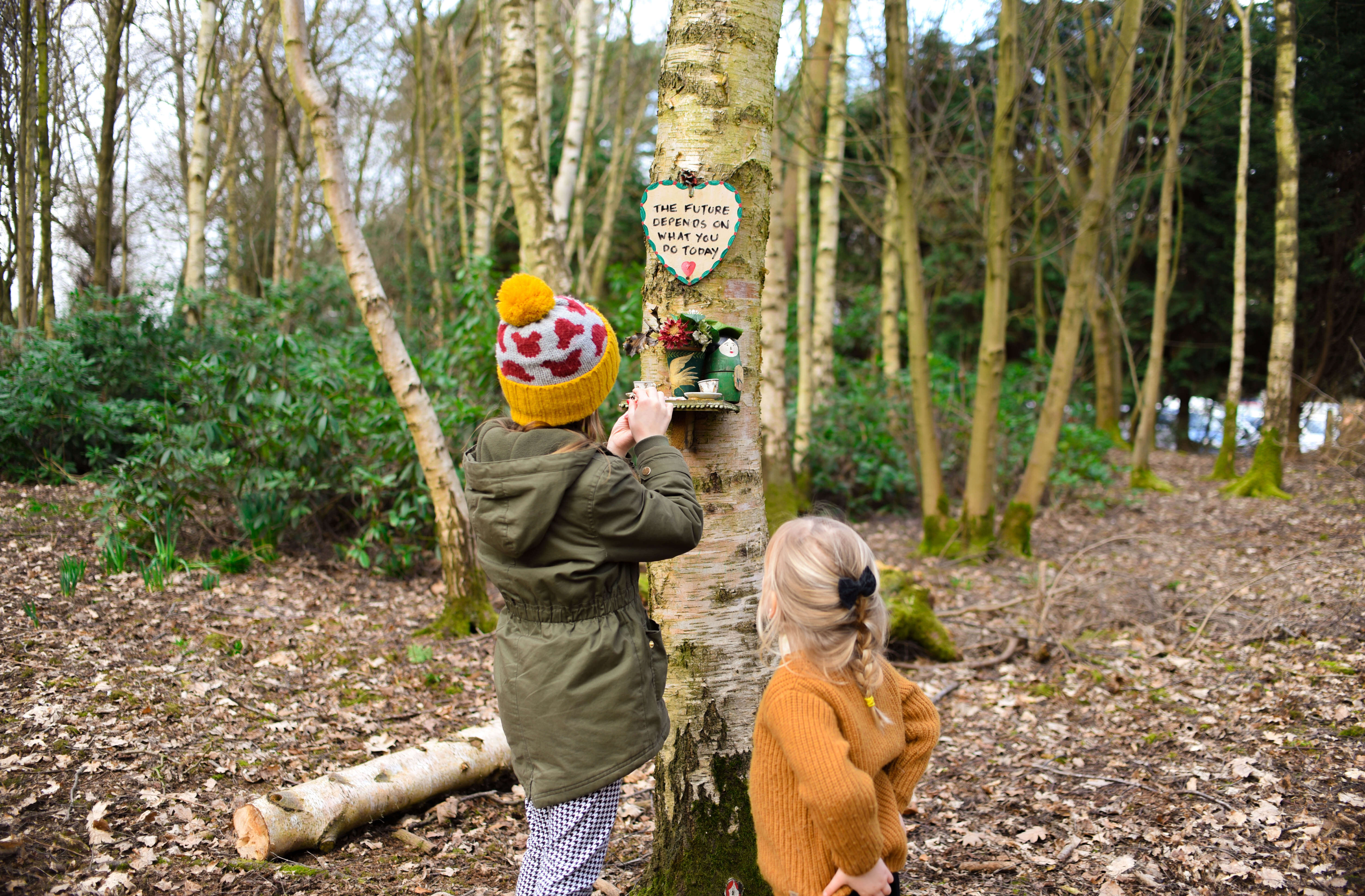Our low spend half term heart of the country fairy woods