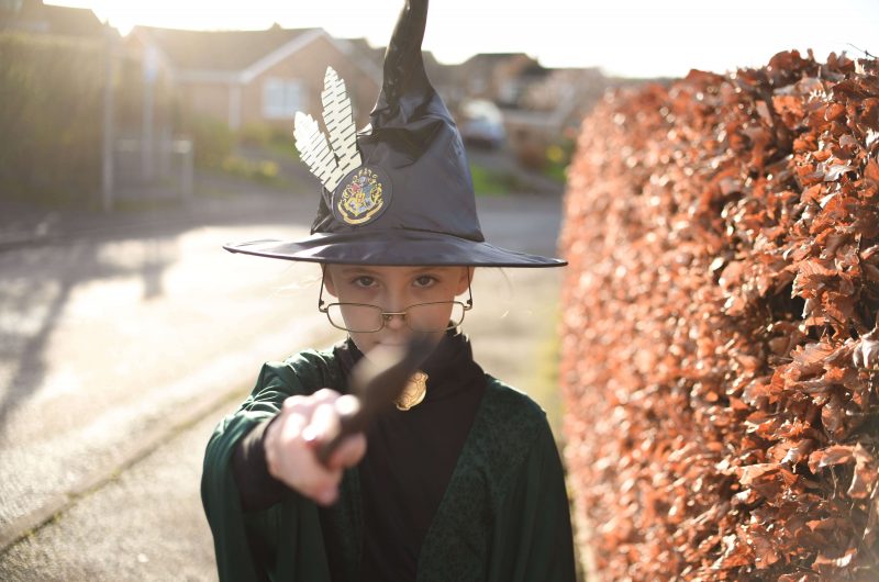 World Book Day Harry Potter Professor McGonagall