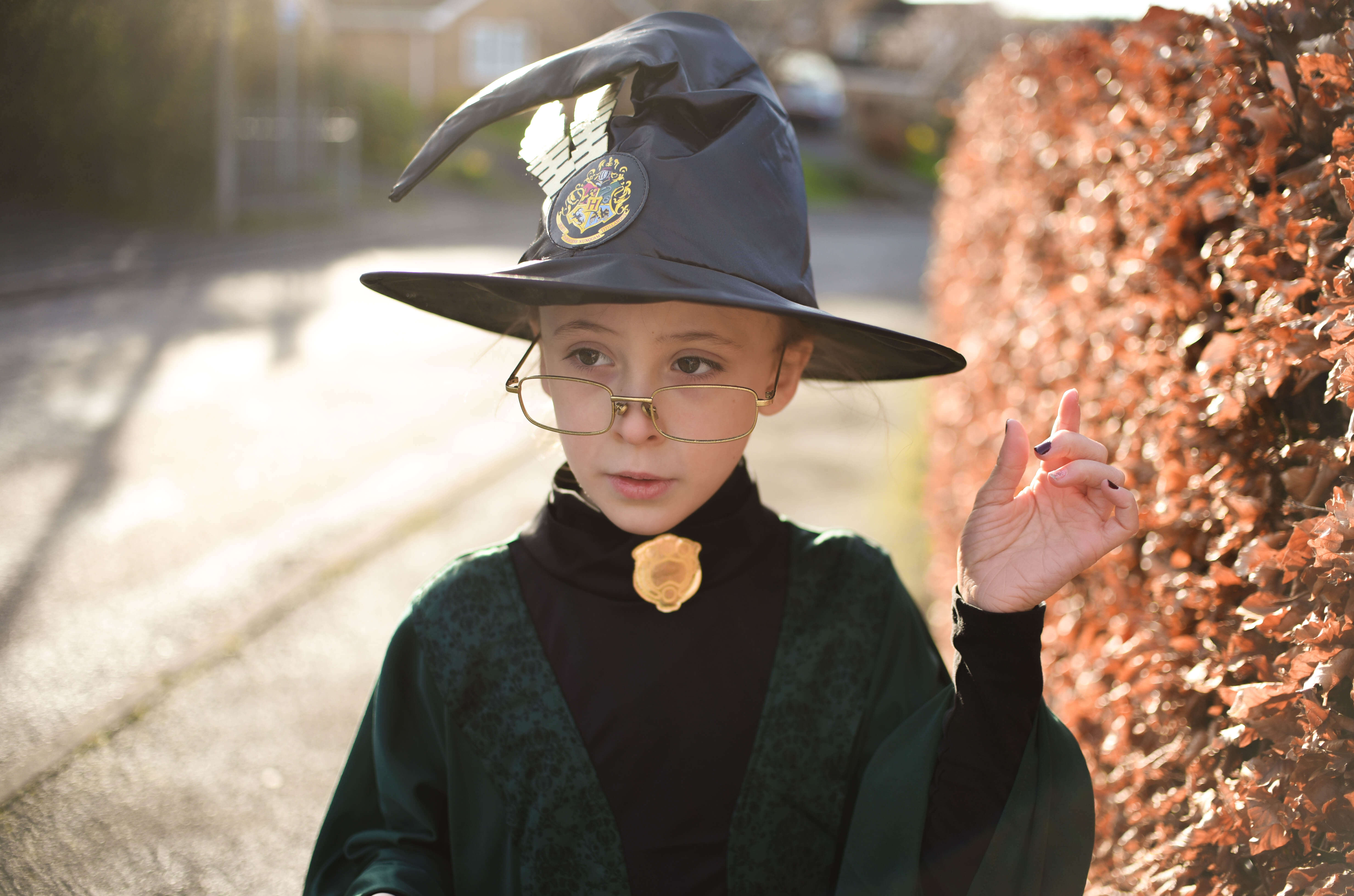 World Book Day Harry Potter Professor McGonagall