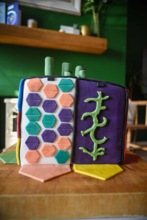 clip n climb climbing wall cake design