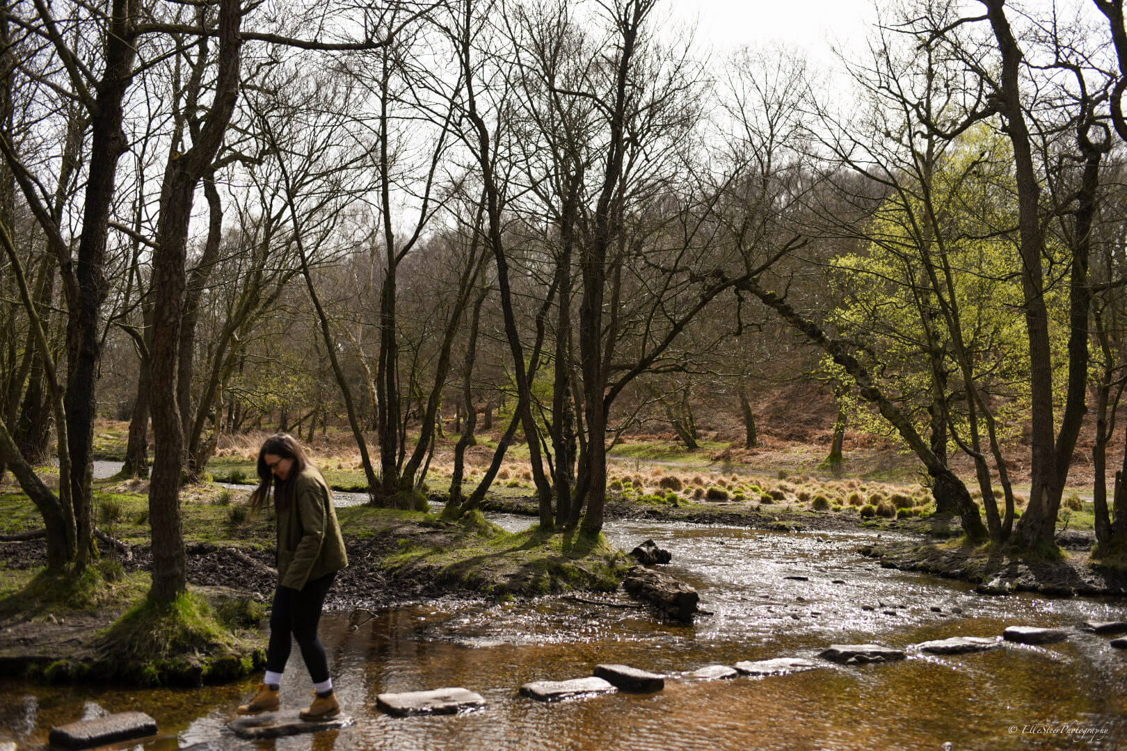 Cannock Chase Stepping Stones